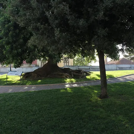 Dotejo Casa Pensionat Almada